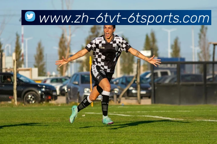 6T体育APP 封面图